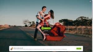 This is the : Tulipschat-homepage