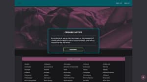 This is the : Vibe-City-homepage