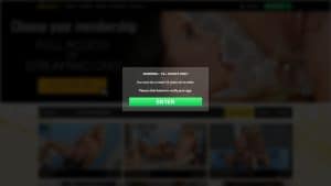 This is the : Vipissy-homepage