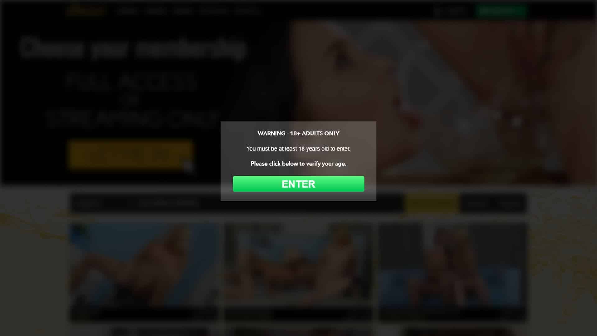 Screenshot of Vipissy