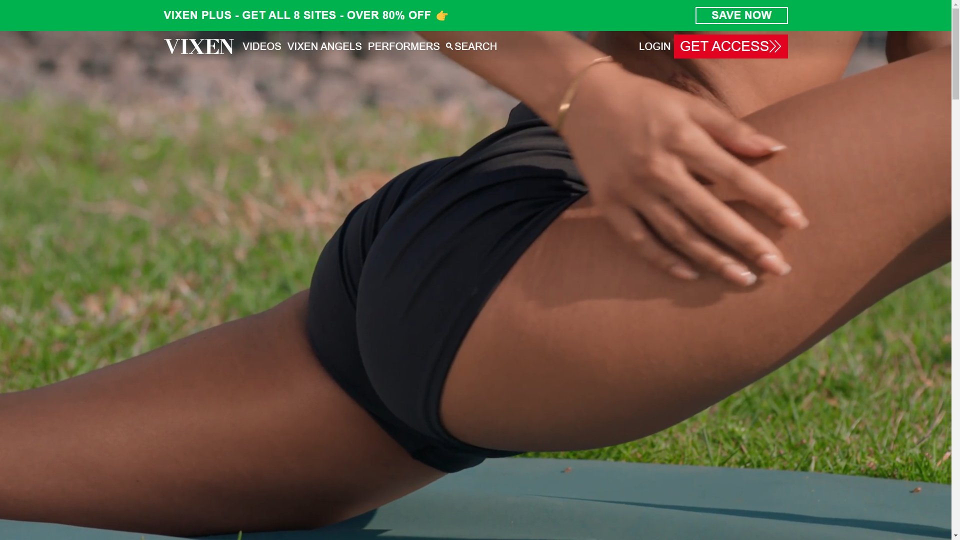 Screenshot of Vixen