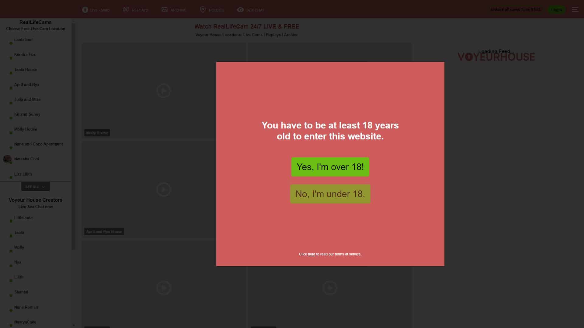 Screenshot of Voyeur House (Fake)