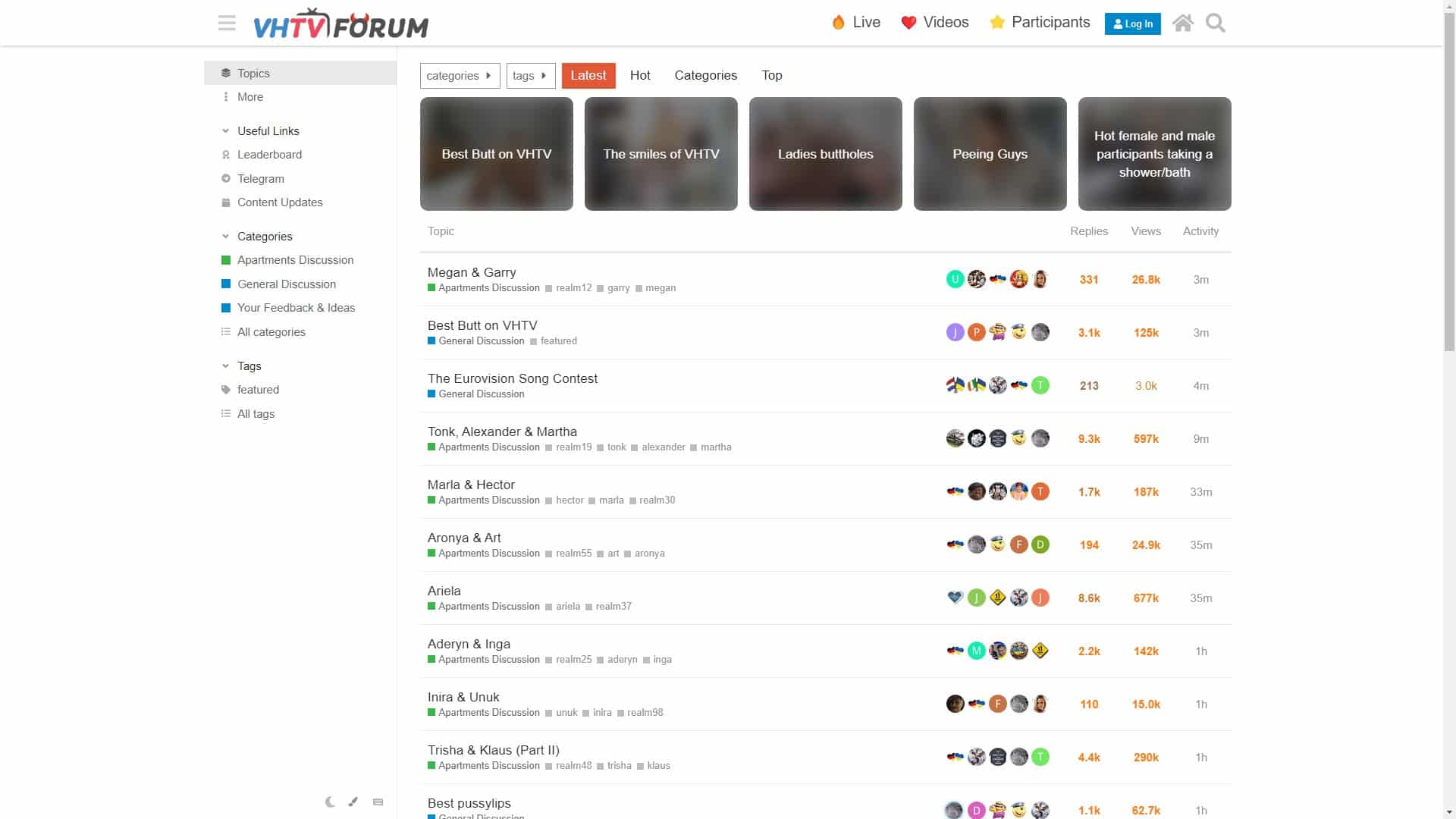 Screenshot of Voyeur House Forum (Fake)