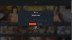 This is the : Vrninja-homepage