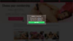 This is the : Wet-And-Puffy-homepage