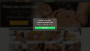 This is the : Wetandpissy-homepage