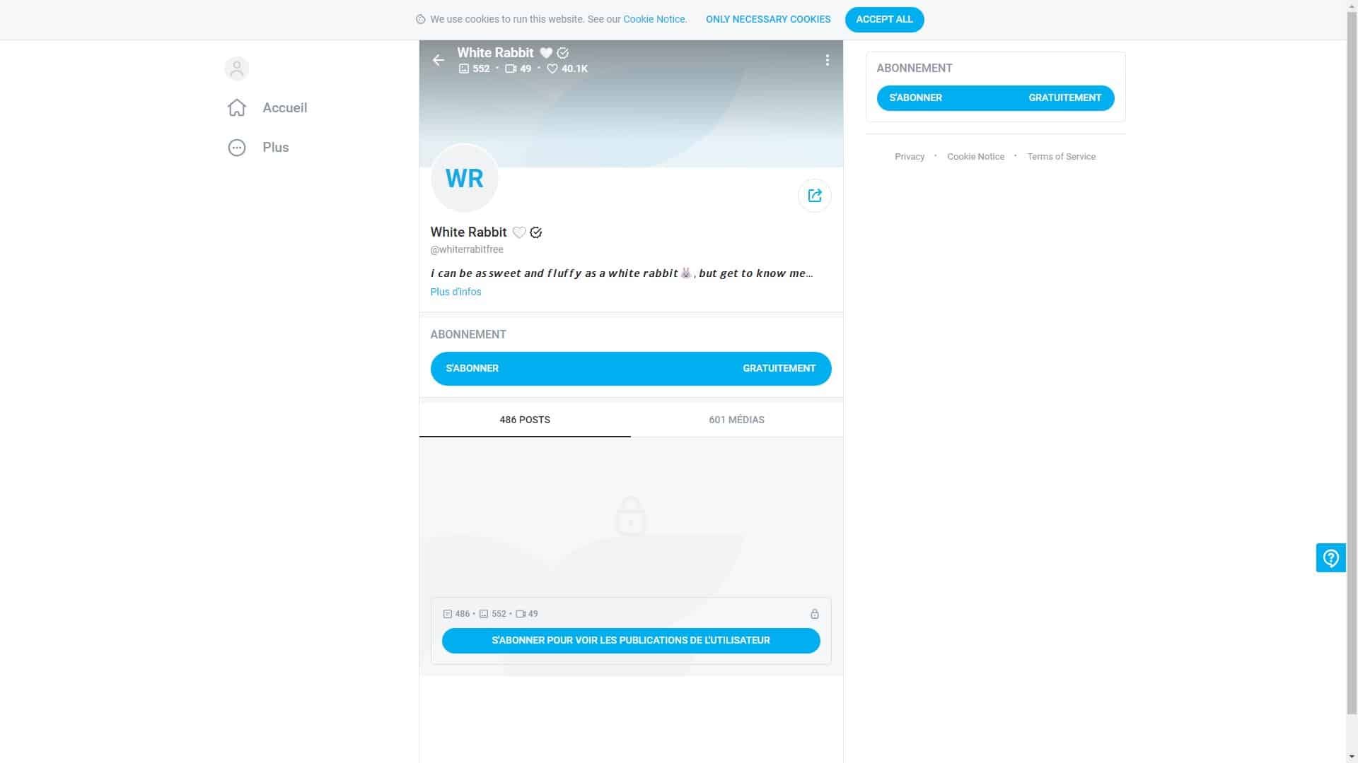 Screenshot of White Rabbit