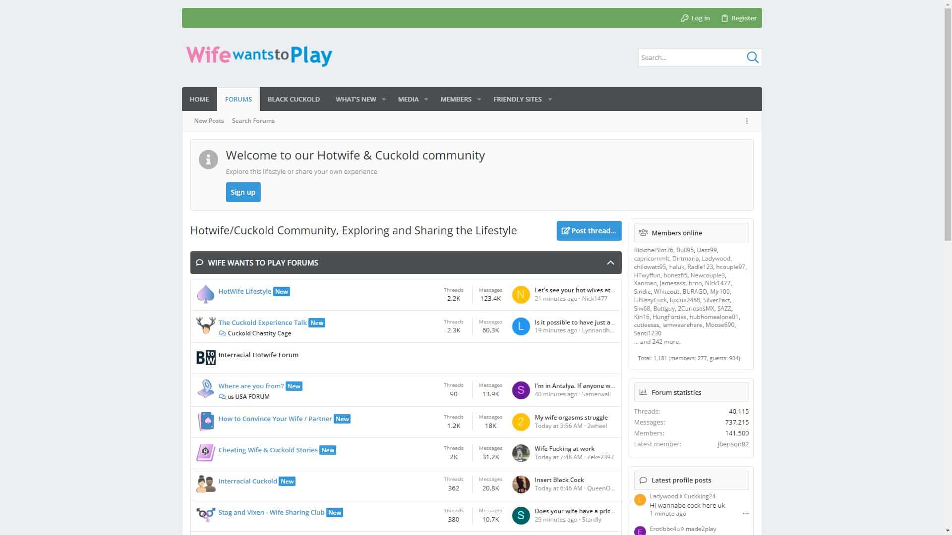 Screenshot of Wifewantstoplay