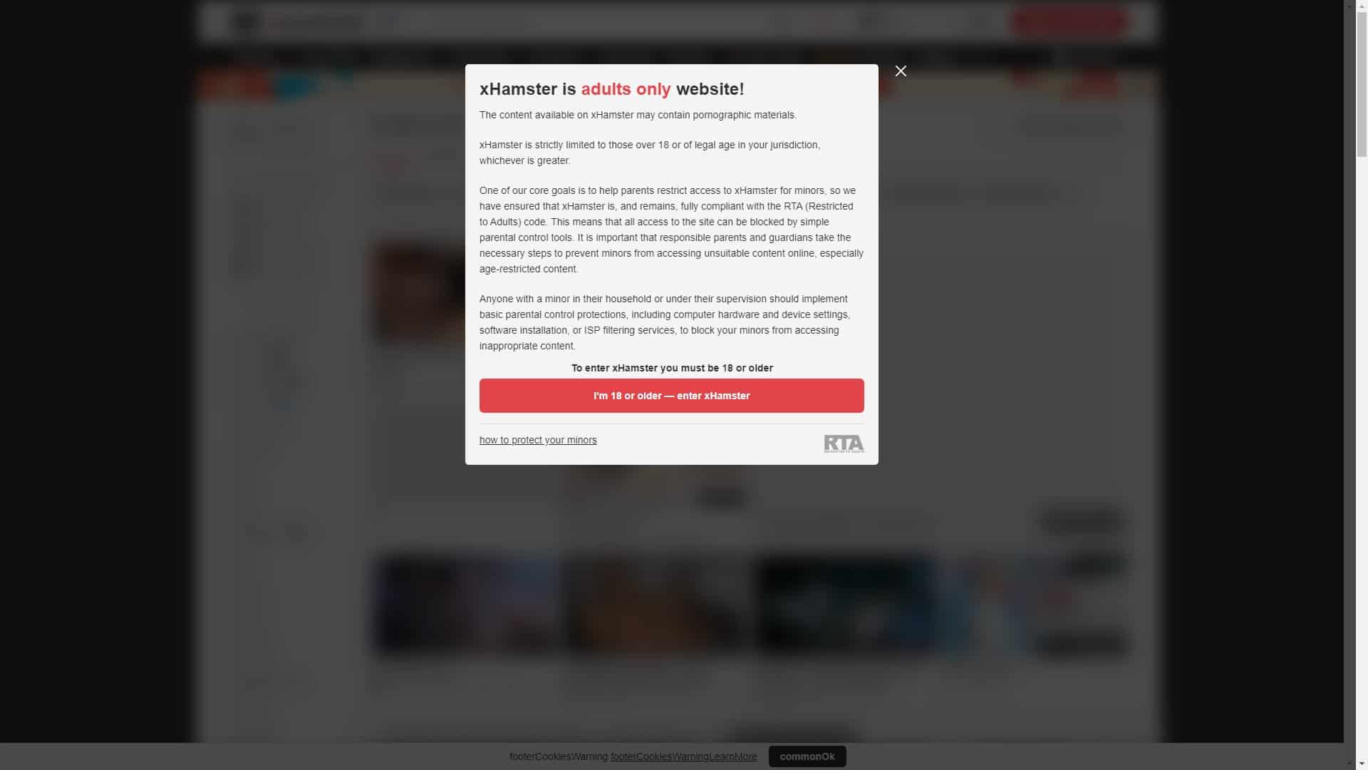 Screenshot of Xhamster Cartoon