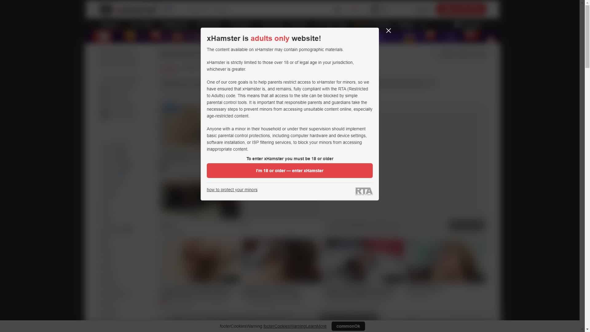 Screenshot of Xhamster Interracial