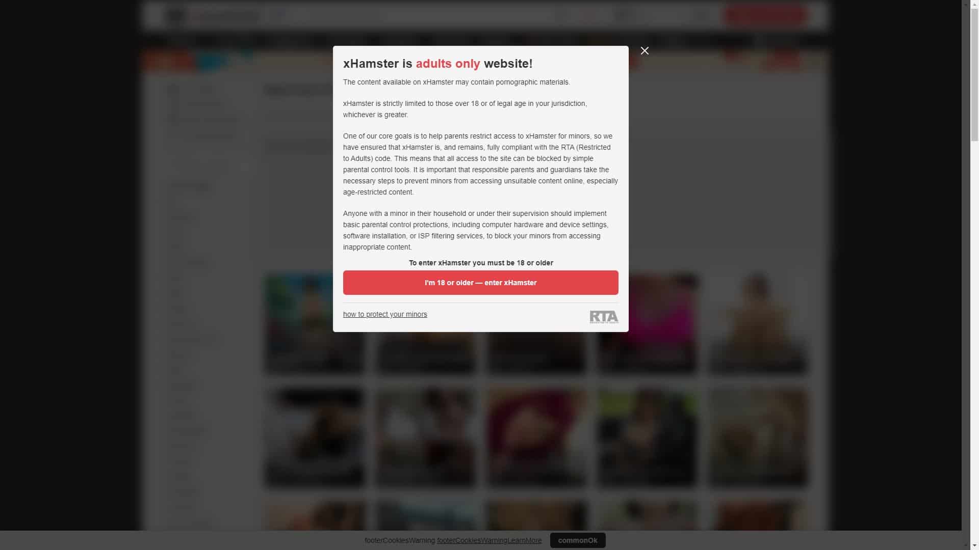 Screenshot of Xhamster Pics
