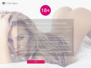 Virtual Reality Porn